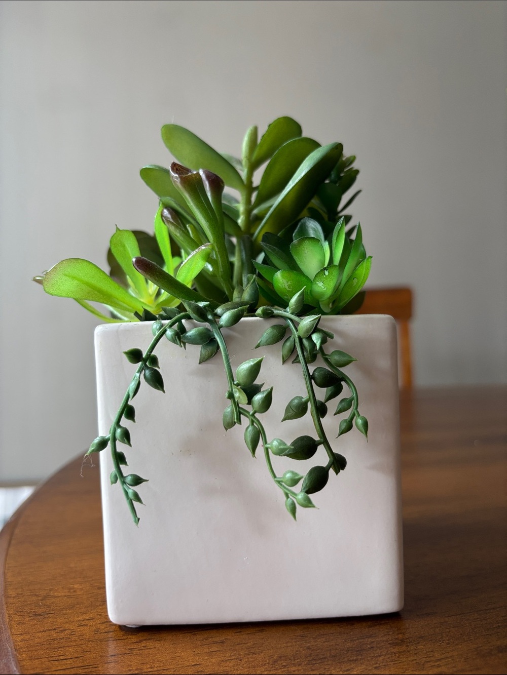 FAUX White Ceramic Square Planter with Green Succulent Arrangement DECOR